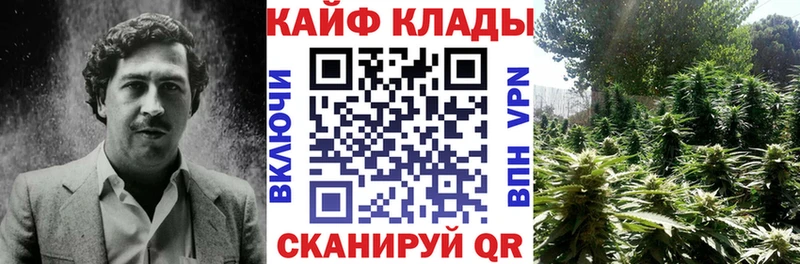 Купить наркоту Ивдель Псилоцибиновые грибы  Alpha PVP  МЕФ  OMG ONION  Бошки Шишки  Кокаин 